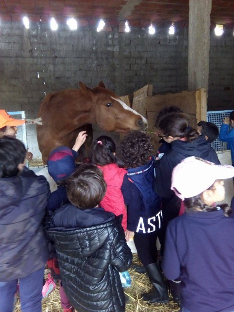 Sortie éducative au Club Hannibal
