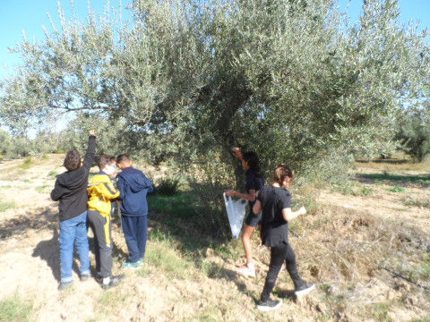 Nos CM2 à la découverte du Domaine Boussetta
